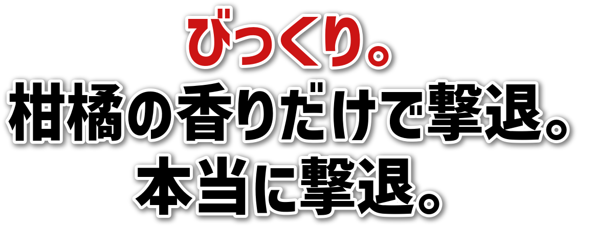 びっくり。柑橘の香りだけで撃退。本当に撃退。